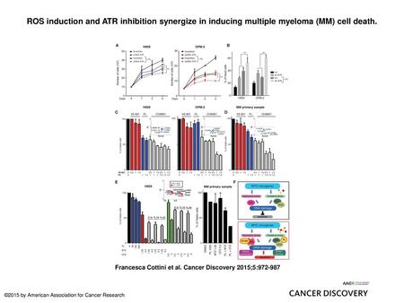 ROS induction and ATR inhibition synergize in inducing multiple myeloma (MM) cell death. ROS induction and ATR inhibition synergize in inducing multiple.