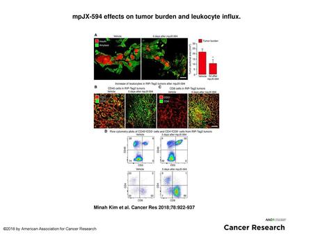 mpJX-594 effects on tumor burden and leukocyte influx.