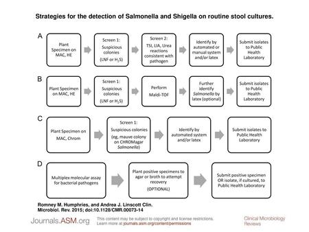 Strategies for the detection of Salmonella and Shigella on routine stool cultures. Strategies for the detection of Salmonella and Shigella on routine stool.