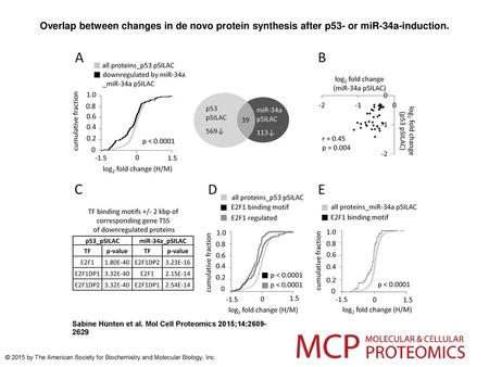 Overlap between changes in de novo protein synthesis after p53- or miR-34a-induction. Overlap between changes in de novo protein synthesis after p53- or.