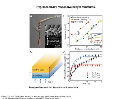 Hygroscopically responsive bilayer structures.