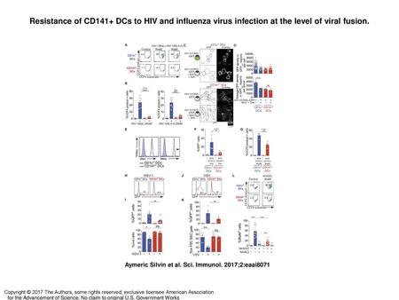 Resistance of CD141+ DCs to HIV and influenza virus infection at the level of viral fusion. Resistance of CD141+ DCs to HIV and influenza virus infection.