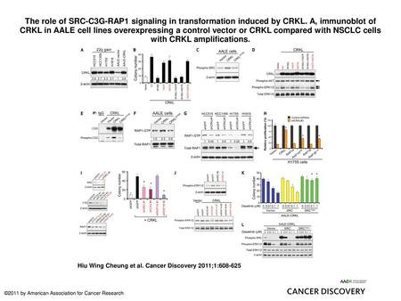 The role of SRC-C3G-RAP1 signaling in transformation induced by CRKL
