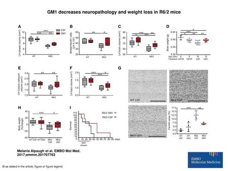 GM1 decreases neuropathology and weight loss in R6/2 mice