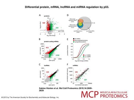 Differential protein, mRNA, lncRNA and miRNA regulation by p53.