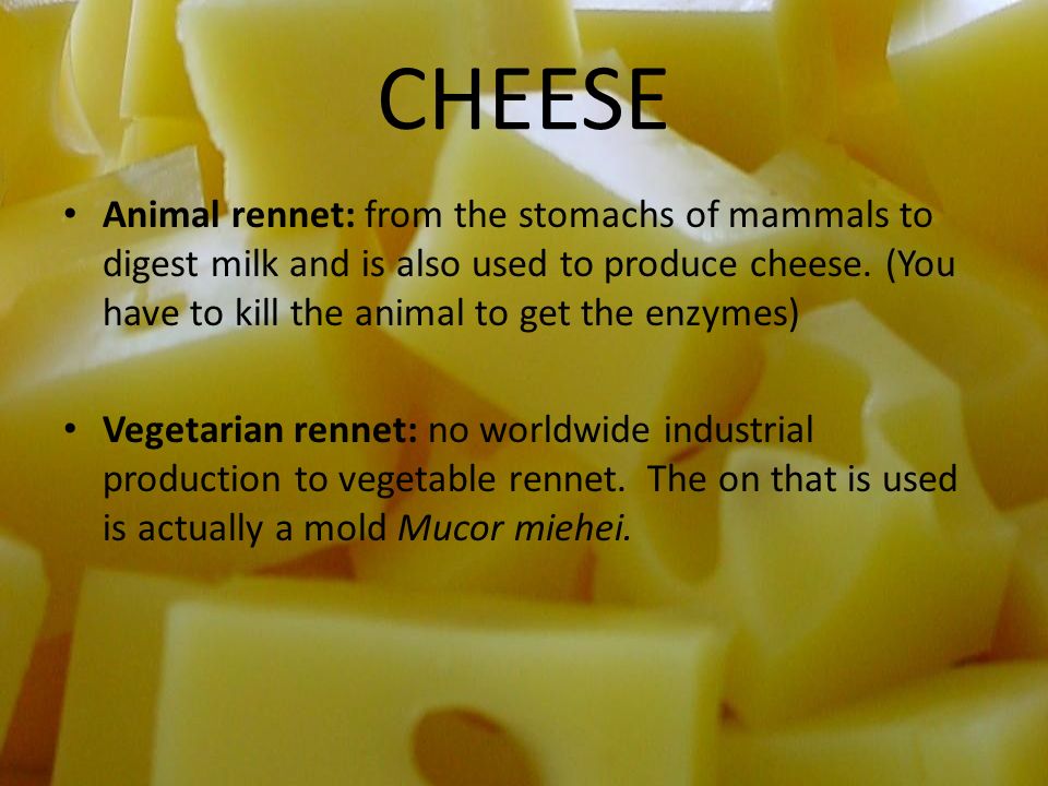 CHEESE Animal rennet: from the stomachs of mammals to digest milk and is  also used to produce cheese. (You have to kill the animal to get the  enzymes) - ppt video online