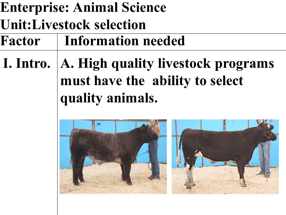 Enterprise: Animal Science Unit:Livestock selection Factor Information  needed I. . High quality livestock programs must have the ability to  select. - ppt download