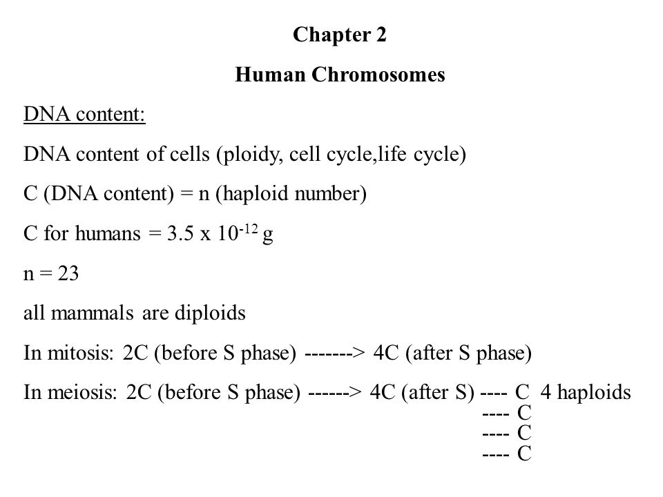 Chapter 2 Human Chromosomes Dna Content Dna Content Of Cells Ploidy Cell Cycle Life Cycle C Dna Content N Haploid Number C For Humans 3 5 X Ppt Download