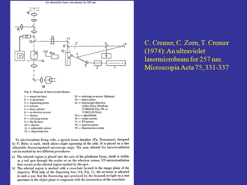 C. Cremer, C. Zorn, T. Cremer (1974): An ultraviolet lasermicrobeam for 257  nm. Microscopia Acta 75, ppt download