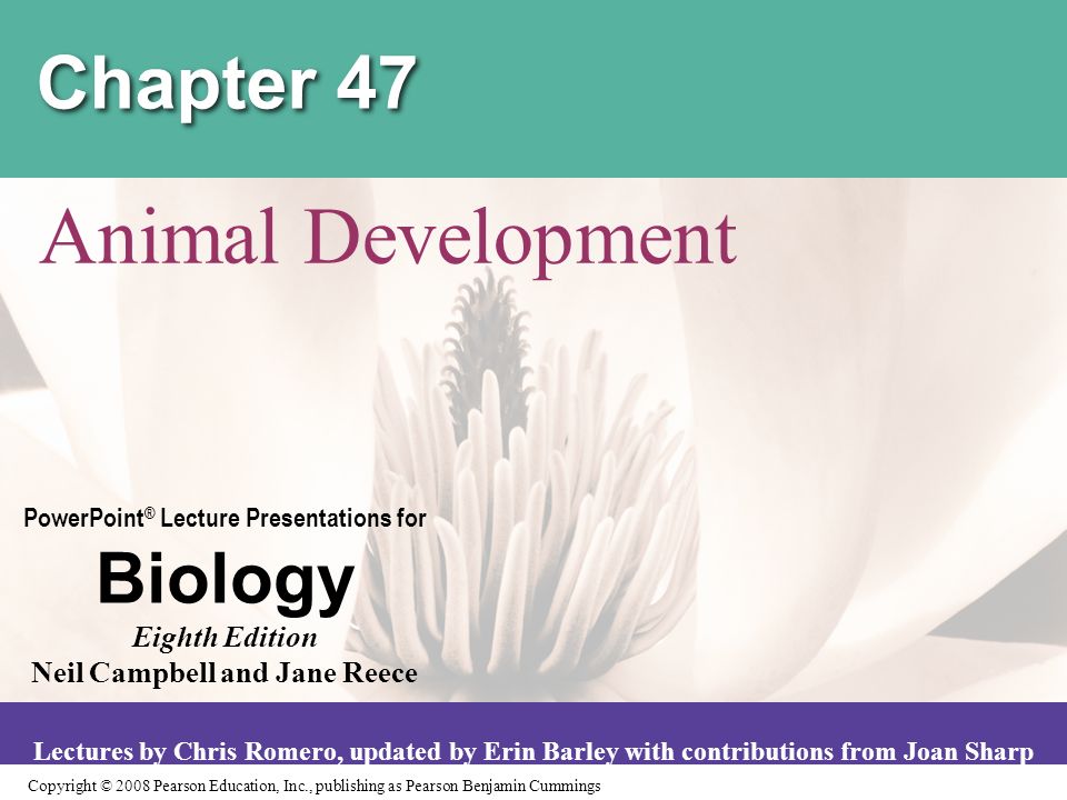 Chapter 47 Animal Development. - ppt video online download