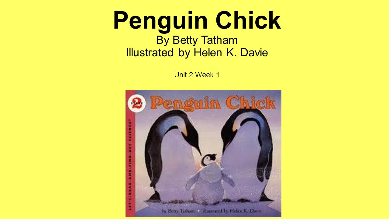 Penguin Chick By Betty Tatham. fierce Something that is fierce is very strong or violent. The fierce wind blew a tree down. What word means the opposite. - ppt download