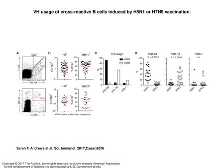 VH usage of cross-reactive B cells induced by H5N1 or H7N9 vaccination