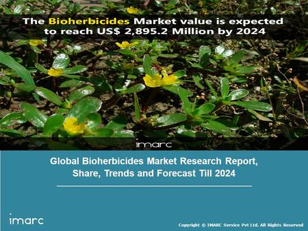 Copyright © IMARC Service Pvt Ltd. All Rights Reserved Global Bioherbicides Market Research Report, Share, Trends and Forecast Till 2024.