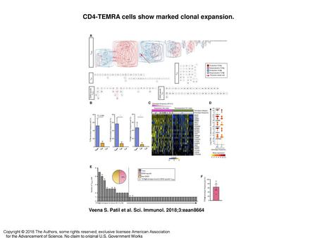 CD4-TEMRA cells show marked clonal expansion.