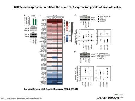 USP2a overexpression modifies the microRNA expression profile of prostate cells. USP2a overexpression modifies the microRNA expression profile of prostate.