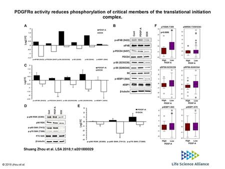 PDGFRα activity reduces phosphorylation of critical members of the translational initiation complex. PDGFRα activity reduces phosphorylation of critical.