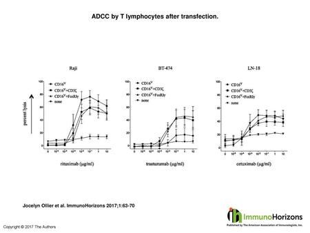ADCC by T lymphocytes after transfection.