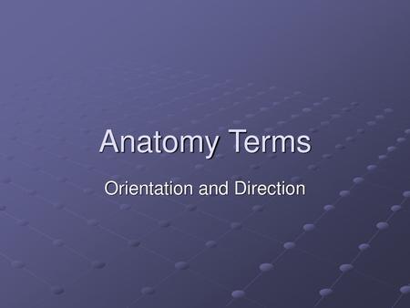 Orientation and Direction