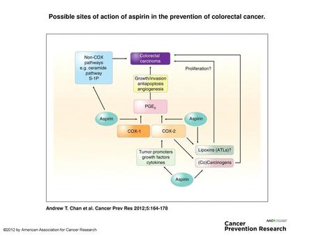 Possible sites of action of aspirin in the prevention of colorectal cancer. Possible sites of action of aspirin in the prevention of colorectal cancer.