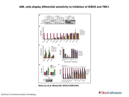 AML cells display differential sensitivity to inhibition of IKBKE and TBK1. AML cells display differential sensitivity to inhibition of IKBKE and TBK1.