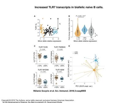 Increased TLR7 transcripts in biallelic naive B cells.