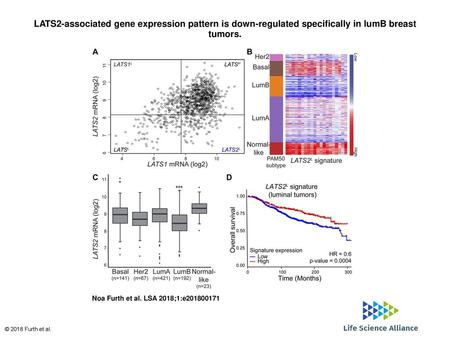 LATS2-associated gene expression pattern is down-regulated specifically in lumB breast tumors. LATS2-associated gene expression pattern is down-regulated.