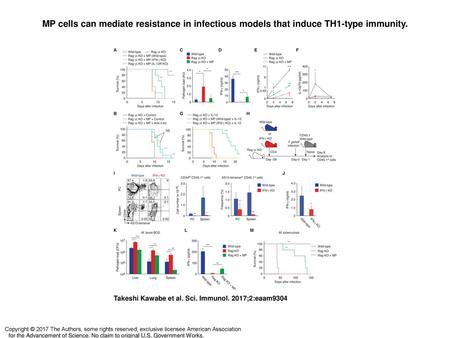 MP cells can mediate resistance in infectious models that induce TH1-type immunity. MP cells can mediate resistance in infectious models that induce TH1-type.