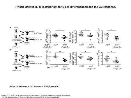 Tfr cell–derived IL-10 is important for B cell differentiation and the GC response. Tfr cell–derived IL-10 is important for B cell differentiation and.