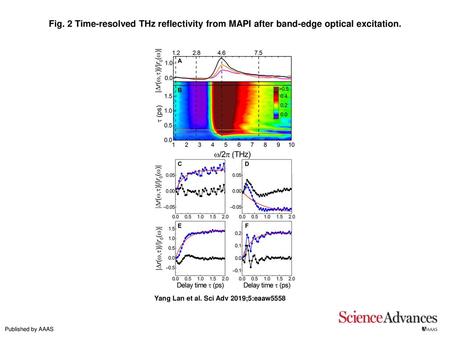 Fig. 2 Time-resolved THz reflectivity from MAPI after band-edge optical excitation. Time-resolved THz reflectivity from MAPI after band-edge optical excitation.