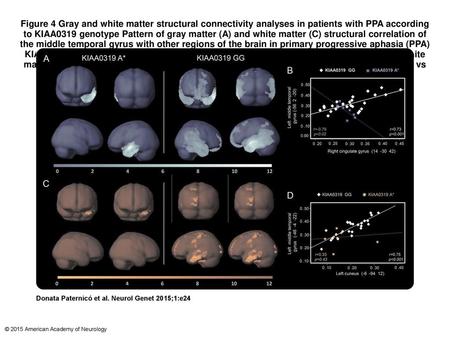 Figure 4 Gray and white matter structural connectivity analyses in patients with PPA according to KIAA0319 genotype Pattern of gray matter (A) and white.