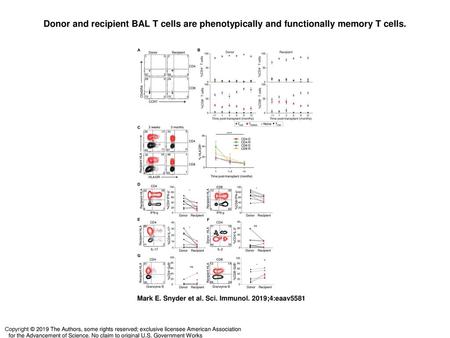 Donor and recipient BAL T cells are phenotypically and functionally memory T cells. Donor and recipient BAL T cells are phenotypically and functionally.