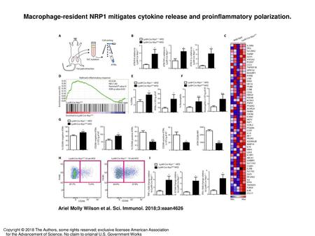 Macrophage-resident NRP1 mitigates cytokine release and proinflammatory polarization. Macrophage-resident NRP1 mitigates cytokine release and proinflammatory.