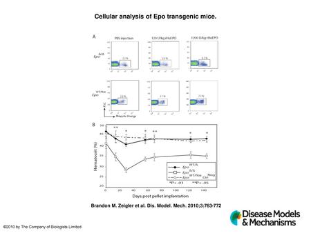 Cellular analysis of Epo transgenic mice.