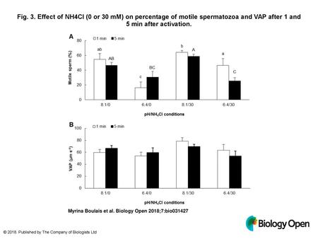 Fig. 3. Effect of NH4Cl (0 or 30 mM) on percentage of motile spermatozoa and VAP after 1 and 5 min after activation. Effect of NH4Cl (0 or 30 mM) on percentage.