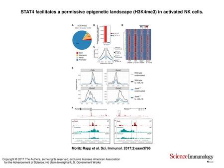 STAT4 facilitates a permissive epigenetic landscape (H3K4me3) in activated NK cells. STAT4 facilitates a permissive epigenetic landscape (H3K4me3) in activated.