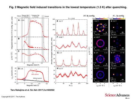 Fig. 2 Magnetic field induced transitions in the lowest temperature (1