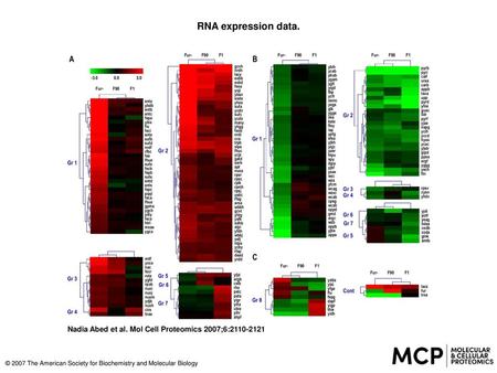 RNA expression data. RNA expression data. Heat maps comparing the normalized log2 of the ratios of Fur−, F90, and F1 signals on the cl20 control signal.