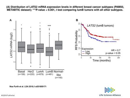 (A) Distribution of LATS2 mRNA expression levels in different breast cancer subtypes (PAM50, METABTIC dataset); ***P-value < 0.001, t test comparing lumB.