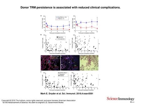 Donor TRM persistence is associated with reduced clinical complications. Donor TRM persistence is associated with reduced clinical complications. Patient.