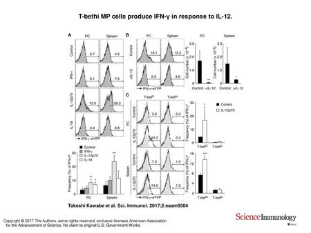 T-bethi MP cells produce IFN-γ in response to IL-12.