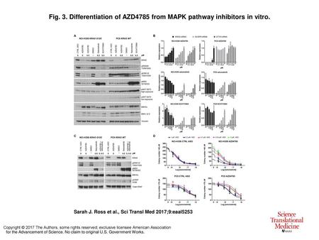 Differentiation of AZD4785 from MAPK pathway inhibitors in vitro