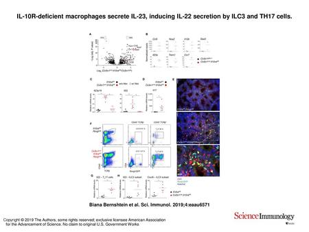 IL-10R-deficient macrophages secrete IL-23, inducing IL-22 secretion by ILC3 and TH17 cells. IL-10R-deficient macrophages secrete IL-23, inducing IL-22.