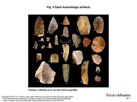 Fig. 3 Gault Assemblage artifacts