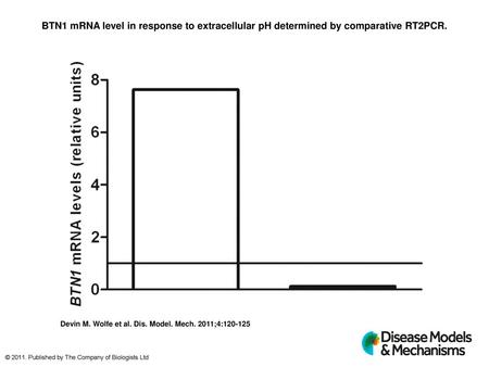 BTN1 mRNA level in response to extracellular pH determined by comparative RT2PCR. BTN1mRNA level in response to extracellular pH determined by comparative.