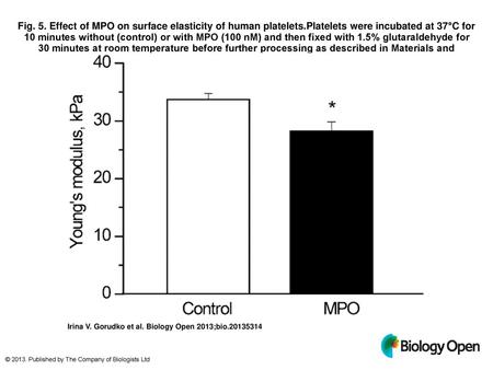 Fig. 5. Effect of MPO on surface elasticity of human platelets