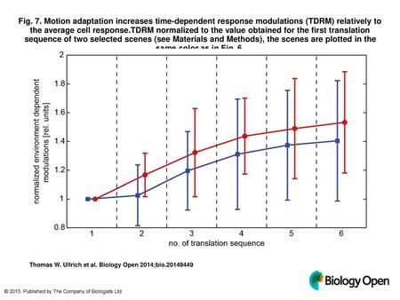Fig. 7. Motion adaptation increases time-dependent response modulations (TDRM) relatively to the average cell response.TDRM normalized to the value obtained.