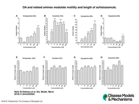 OA and related amines modulate motility and length of schistosomula.