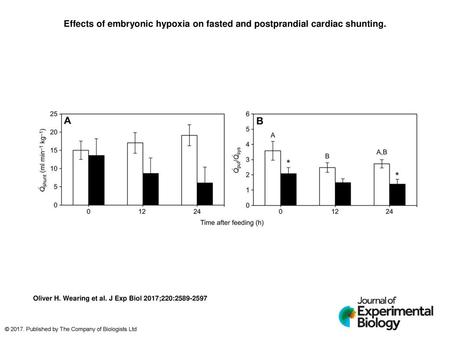 Effects of embryonic hypoxia on fasted and postprandial cardiac shunting. Effects of embryonic hypoxia on fasted and postprandial cardiac shunting. Mean.