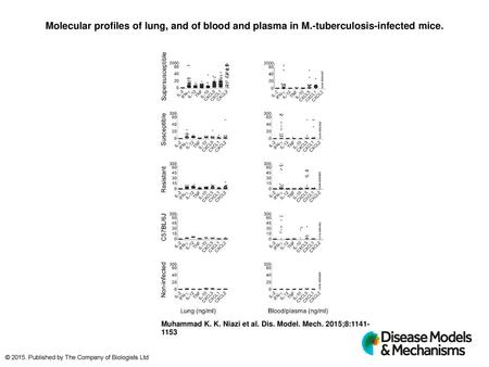 Molecular profiles of lung, and of blood and plasma in M