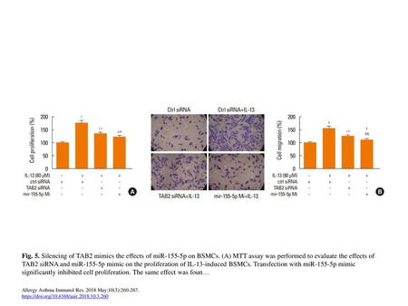 Fig. 5. Silencing of TAB2 mimics the effects of miR-155-5p on BSMCs